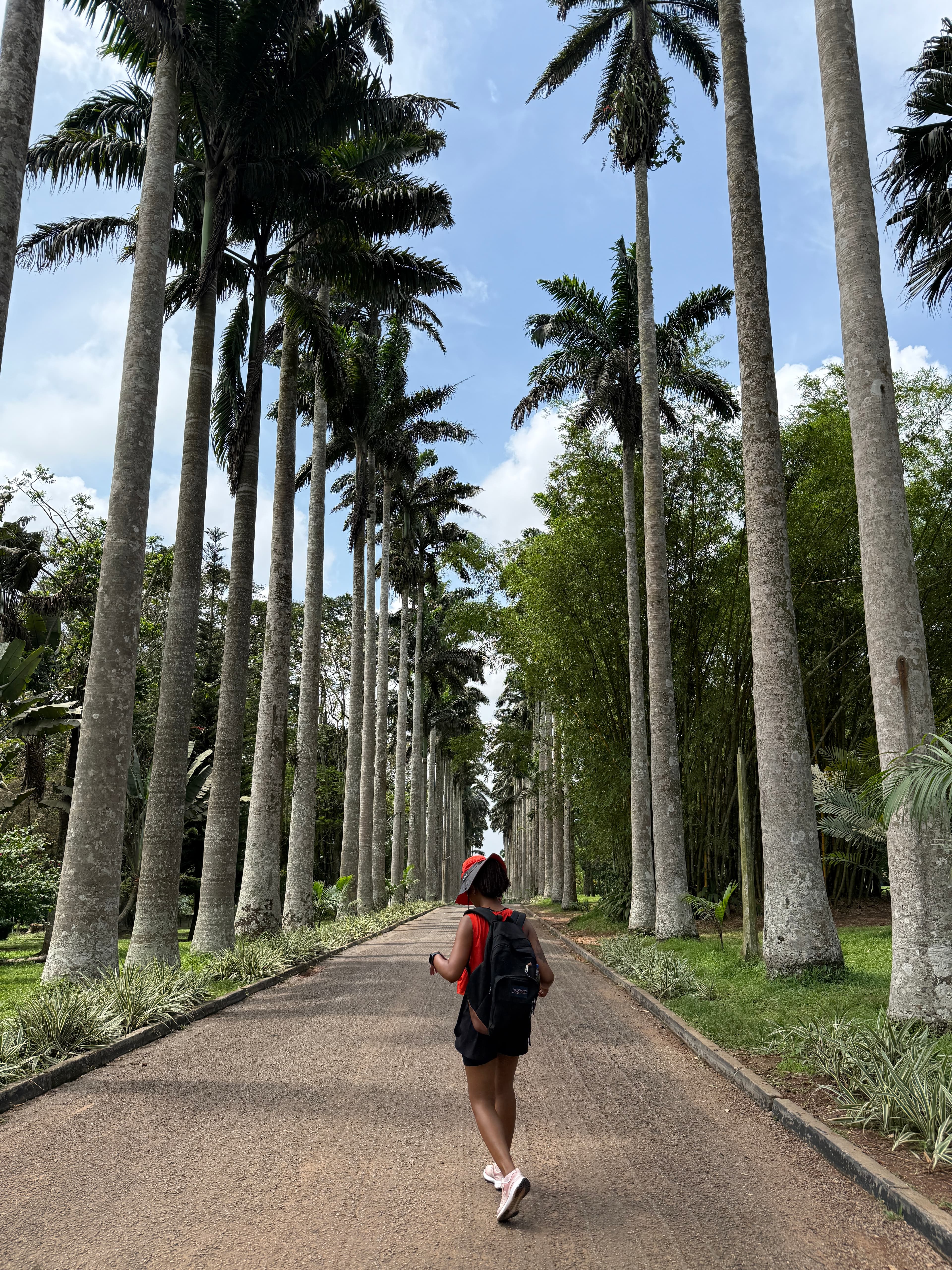 Solo Travel