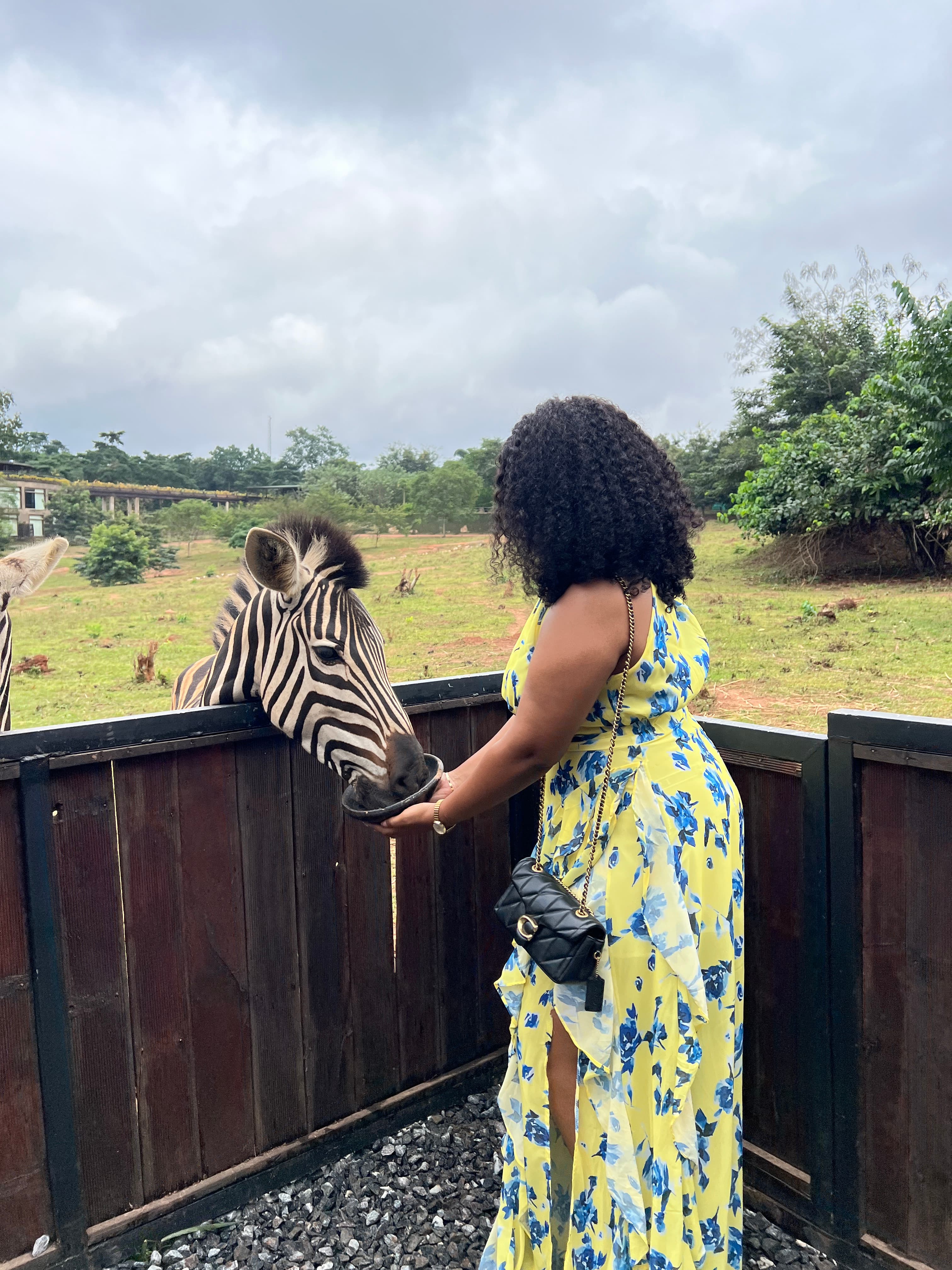 A day at Safari Valley gallery photo 1