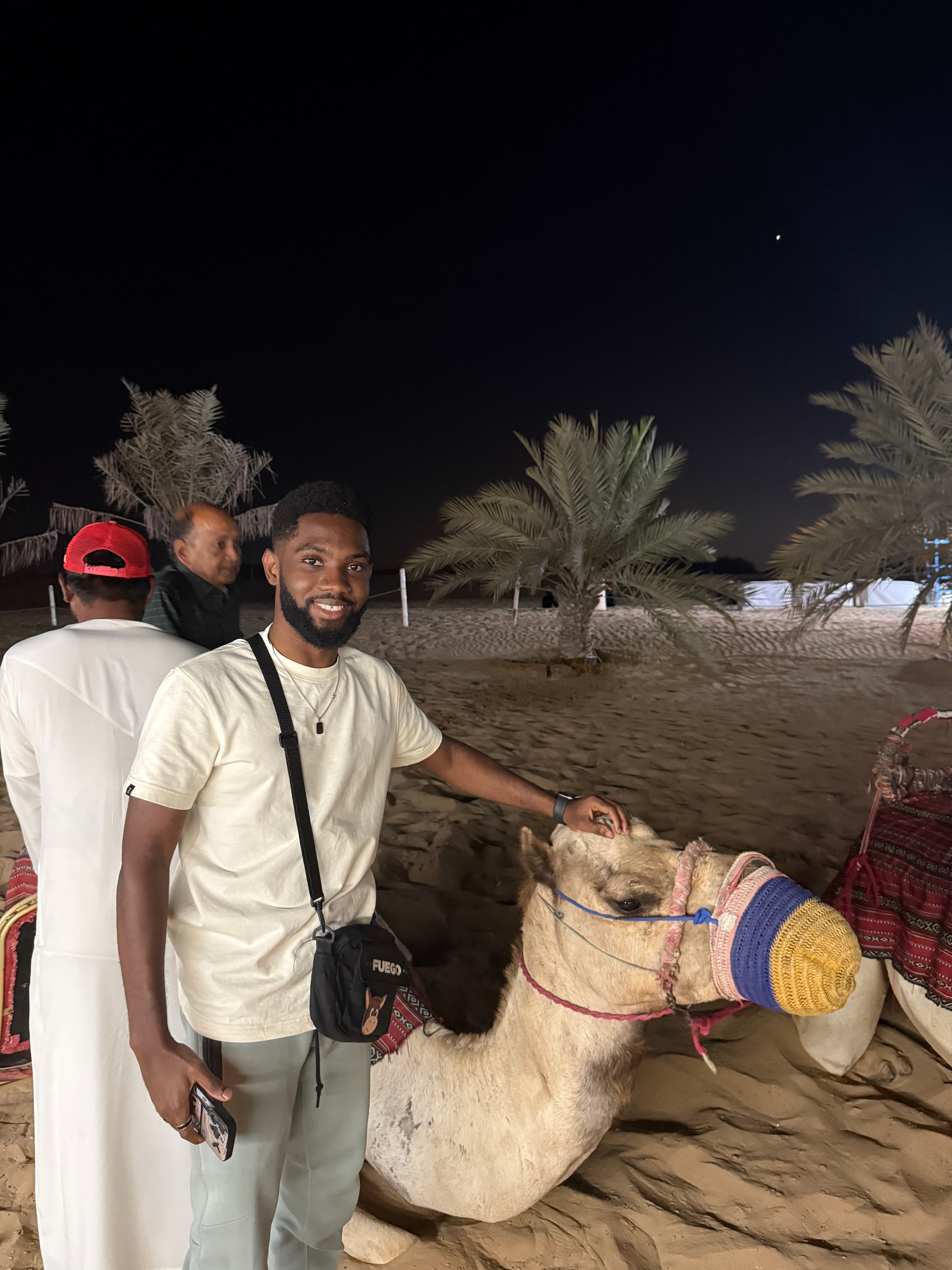 New Year in Dubai gallery photo 3