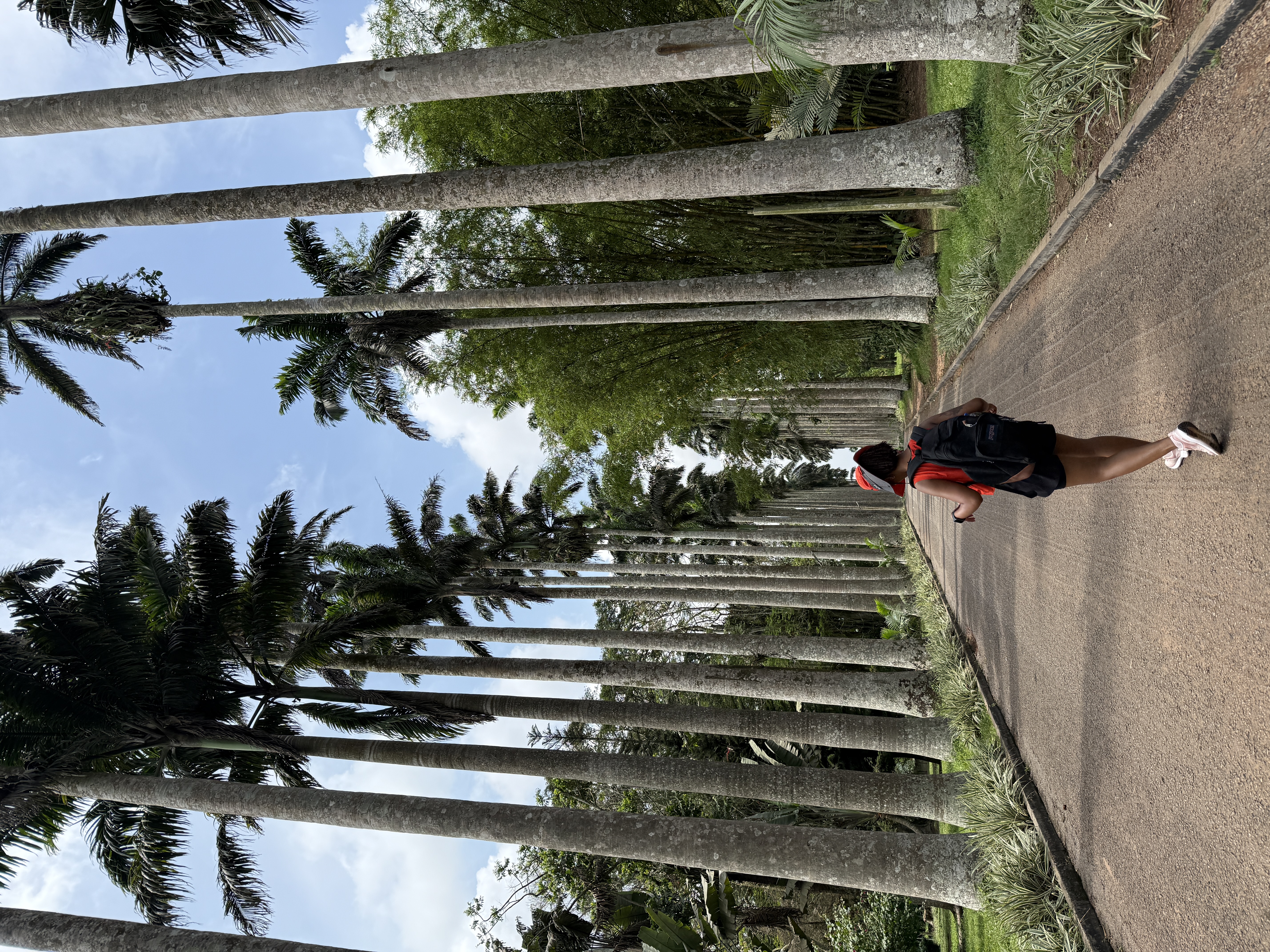 Solo Travel
