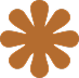 Star decoration